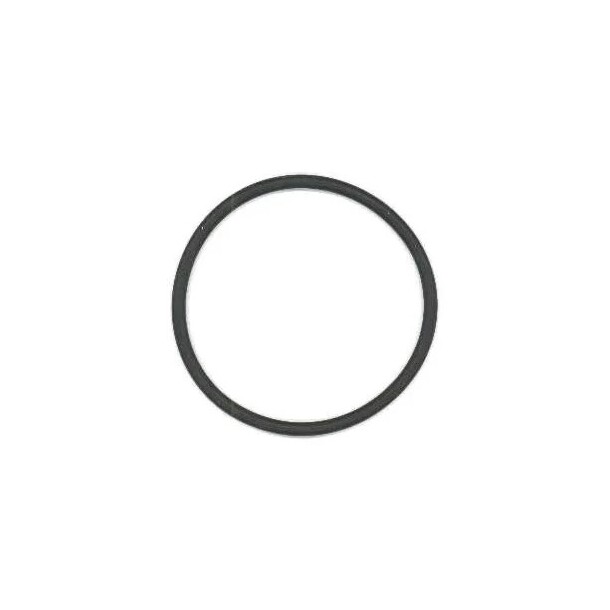 CJC o-ring 172x4mm (for LG filter)