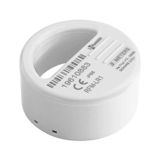 LoRaWan Modul Rfm-Lr1 For Bmeter 